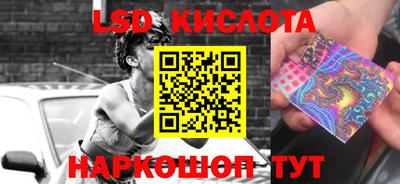 стафф Будённовск